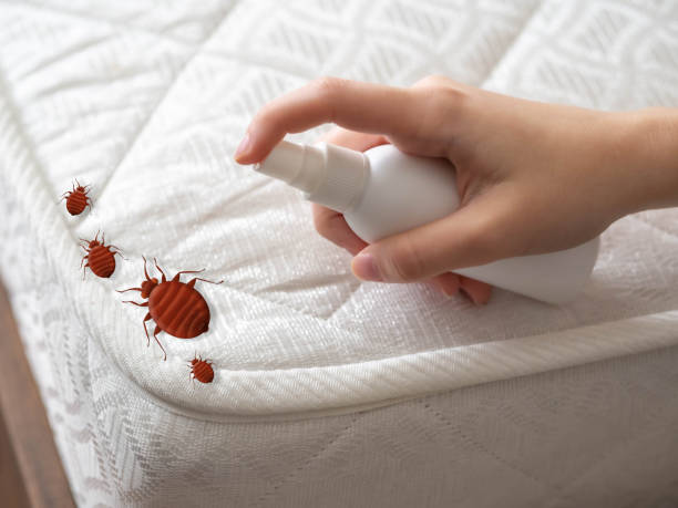 Best Pest Control for Hotels  in Tualatin, OR